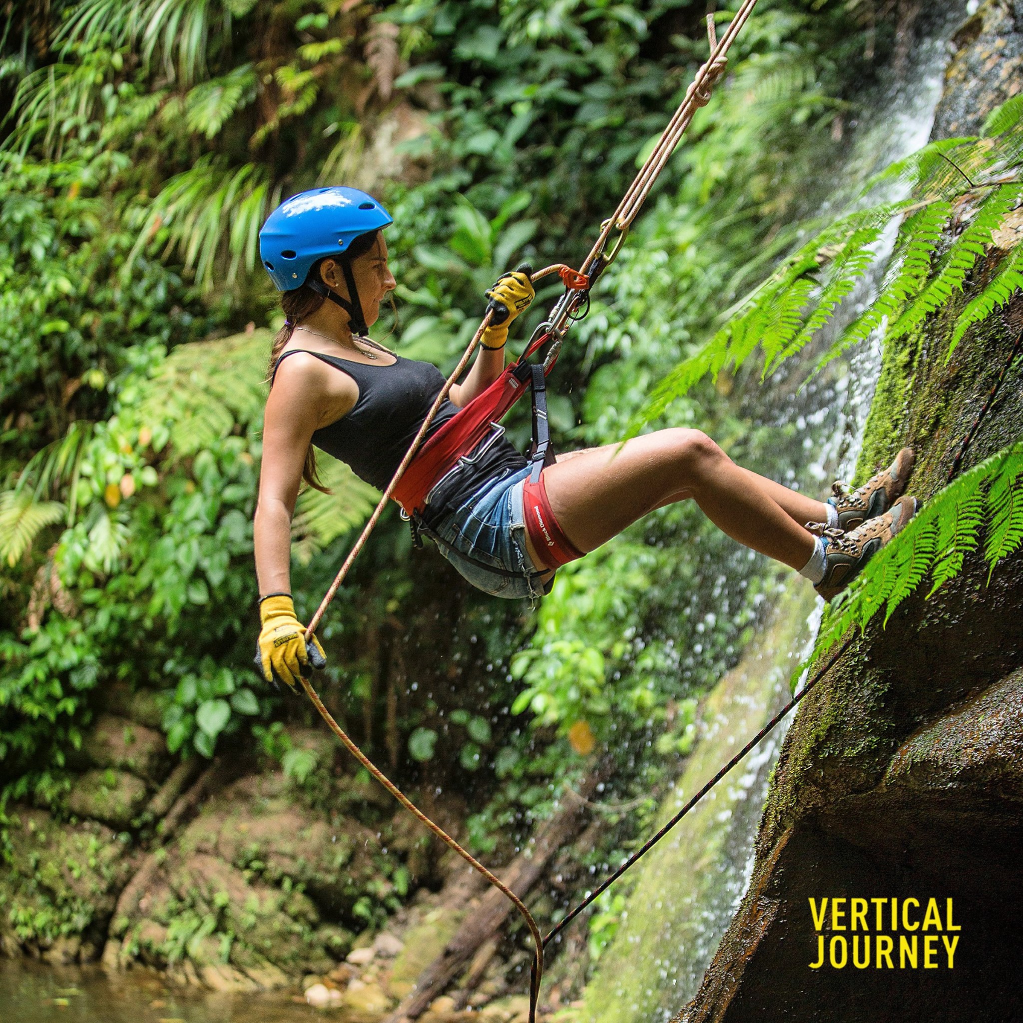 alto-mayo-encantador-2d1n